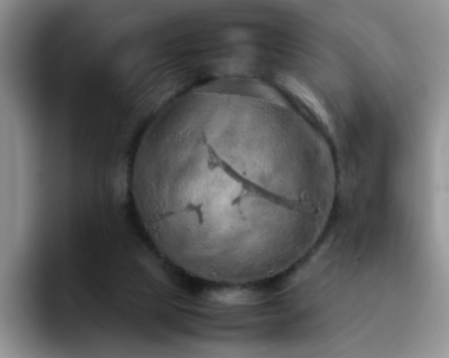 X0000092220065200709141052