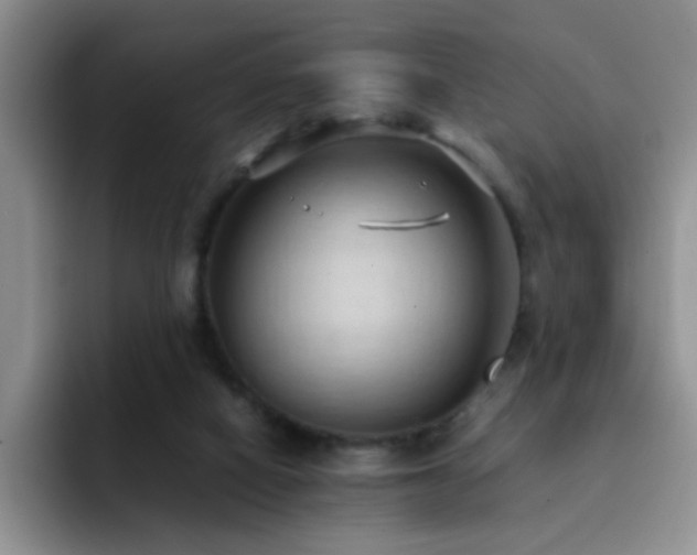 X0000092220066200709141052