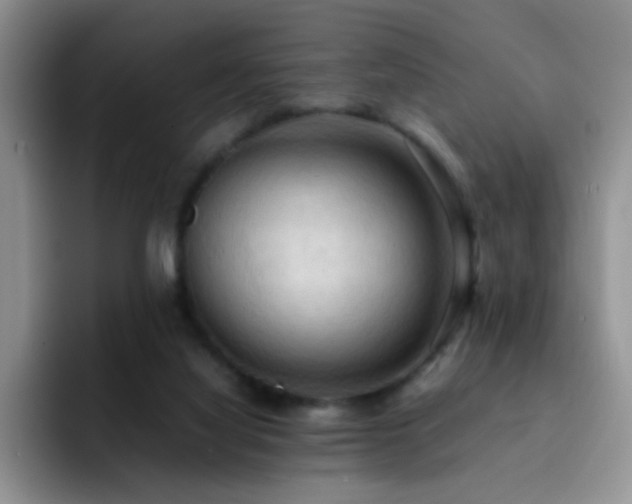 X0000092220068200709141052