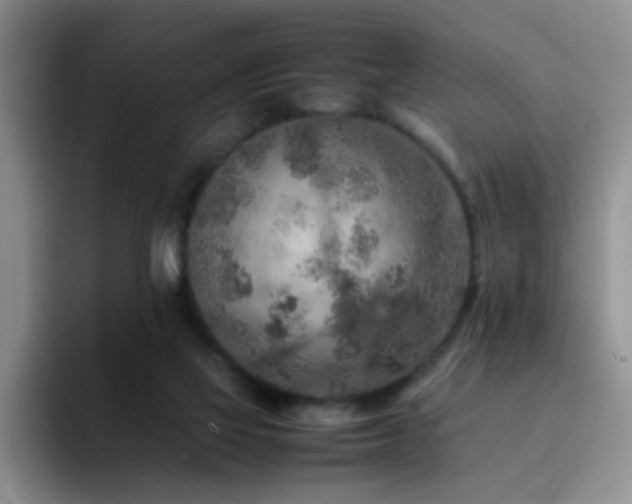 X0000092220069200709141052