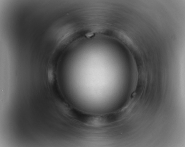 X0000092220074200709141052