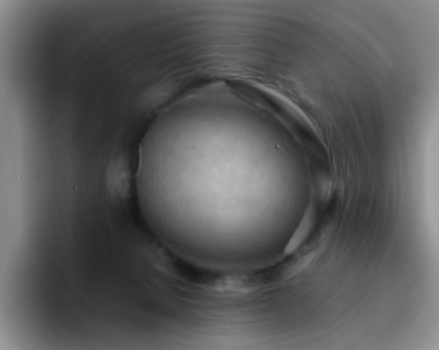 X0000092220080200709141052