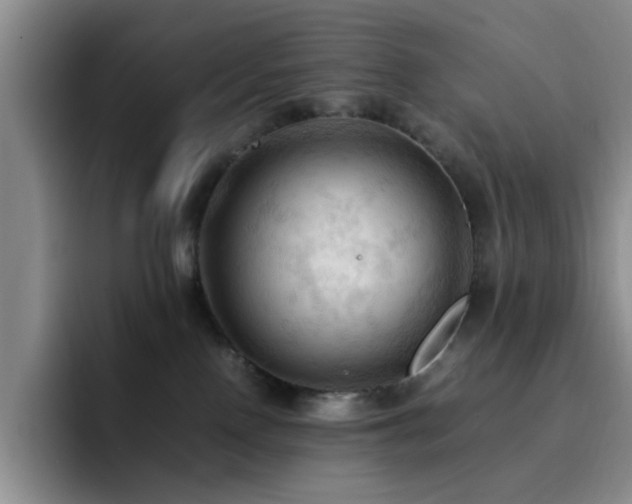 X0000092220090200709141052