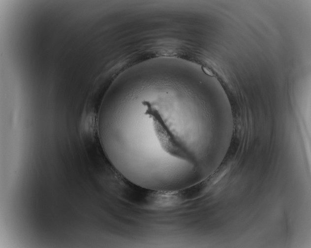 X0000092220093200709141052