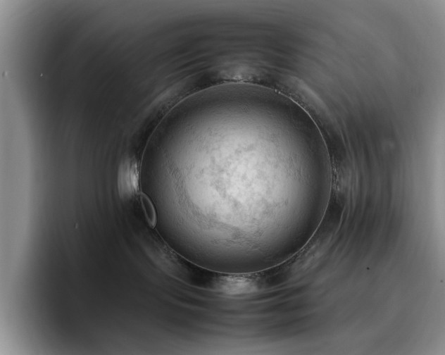 X0000092220095200709141052