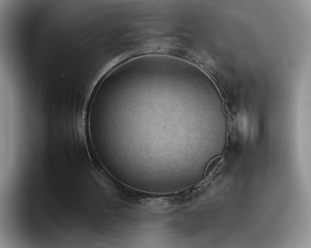 X0000092220100200709141052