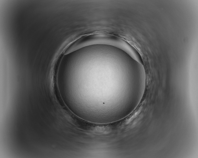 X0000092220101200709141052