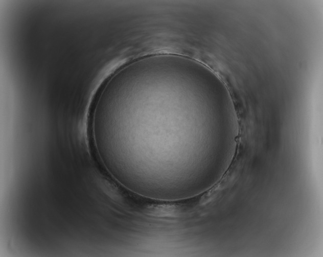 X0000092220104200709141052