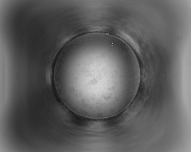X0000092220107200709141052