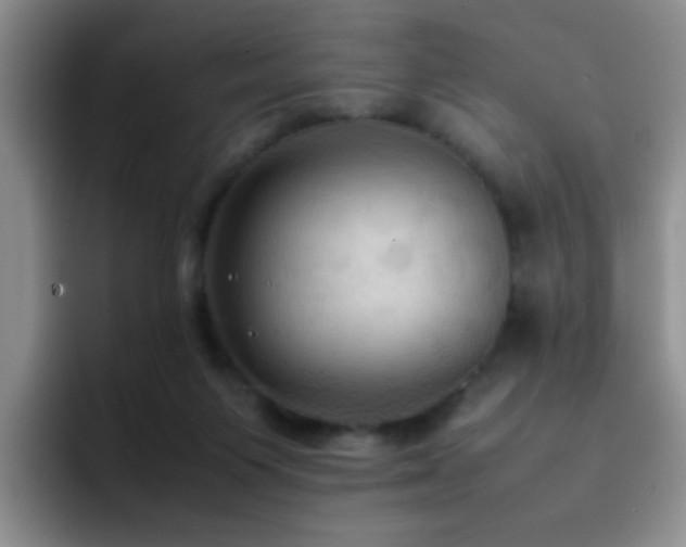X0000092220119200709141051