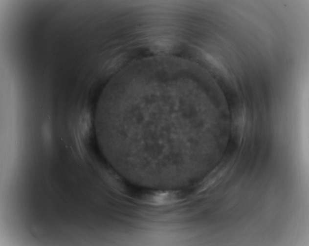 X0000092220130200709141051