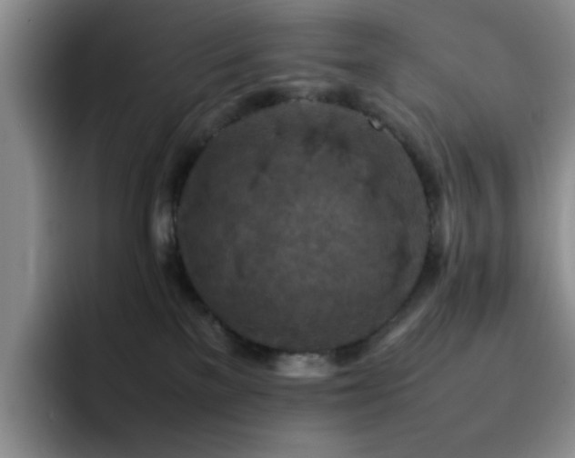 X0000092220137200709141051