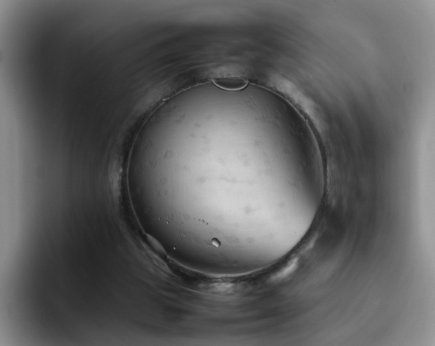 X0000092220153200709141051