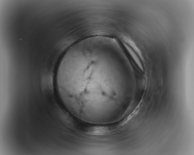 X0000092220154200709141051