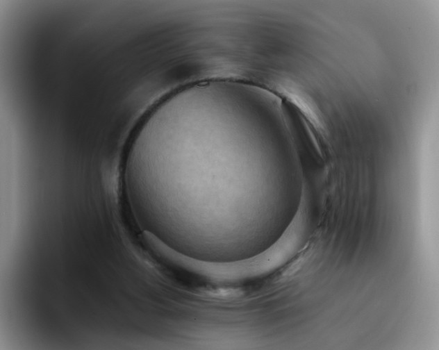 X0000092220156200709141051