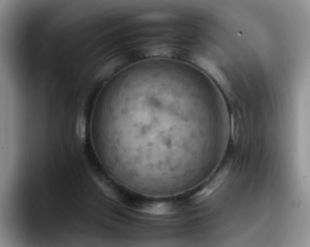 X0000092220157200709141051