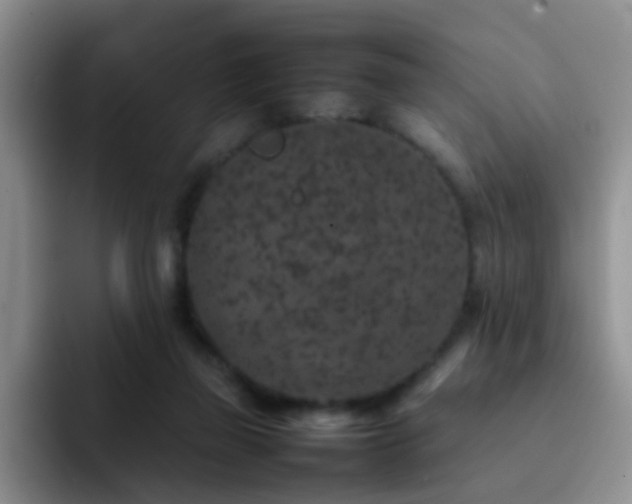 X0000092220165200709141051