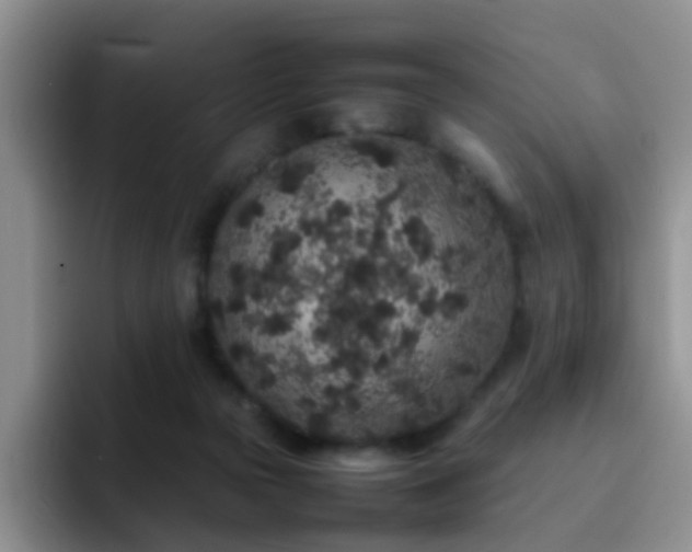 X0000092220169200709141051