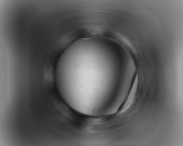 X0000092220170200709141051