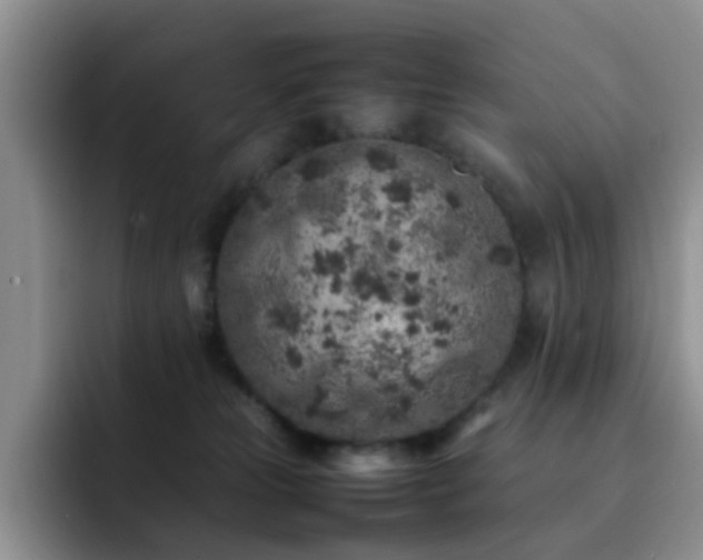 X0000092220181200709141051