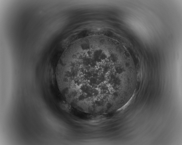 X0000092220191200709141051