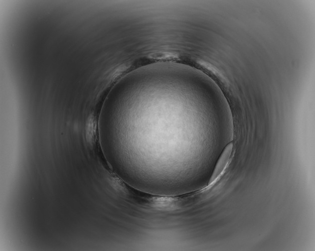 X0000092220192200709141051