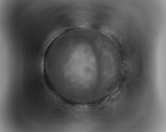 X0000092220194200709141051