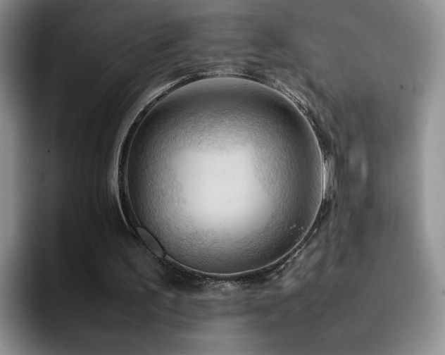 X0000092220195200709141051