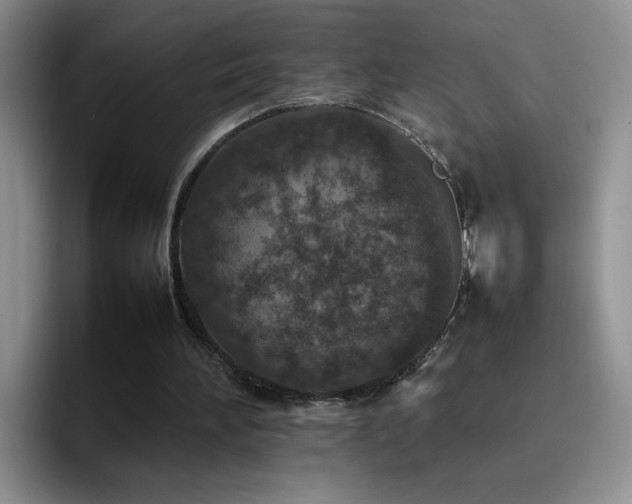 X0000092220196200709141051