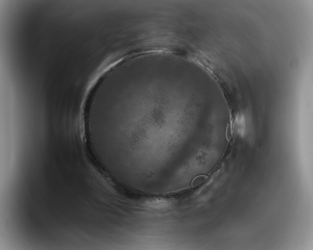 X0000092220198200709141051