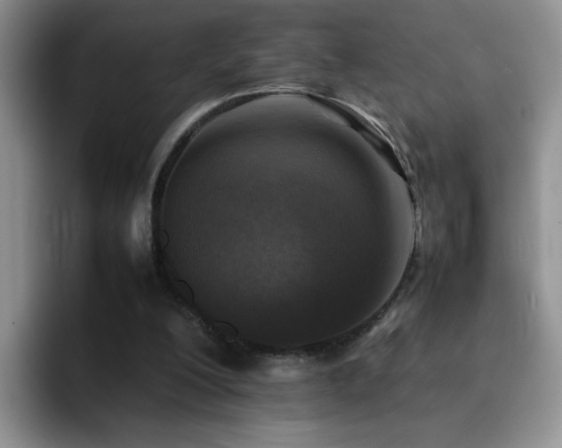 X0000092220200200709141050