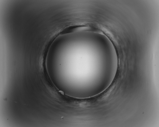 X0000092220201200709141050