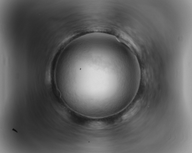 X0000092220203200709141050