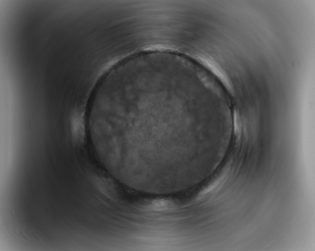 X0000092220204200709141050