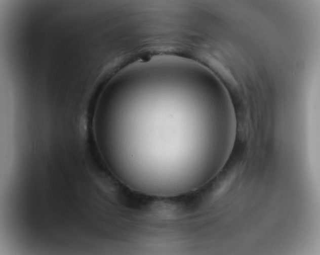 X0000092220207200709141050
