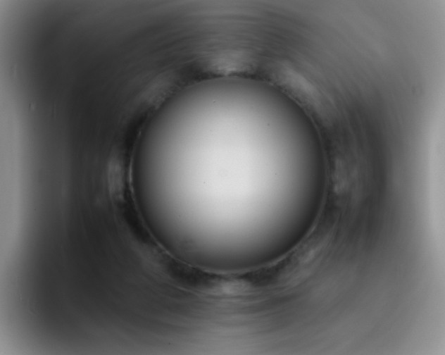 X0000092220210200709141050