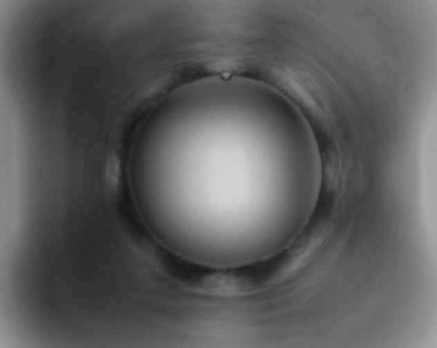 X0000092220211200709141050