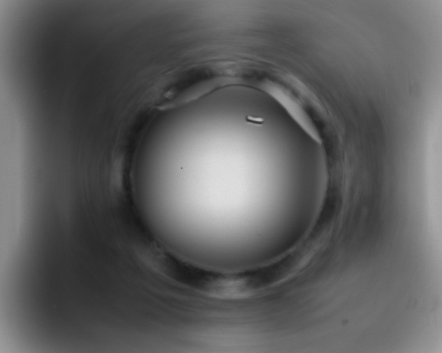X0000092220217200709141050