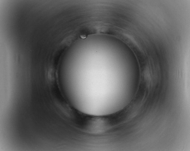 X0000092220218200709141050