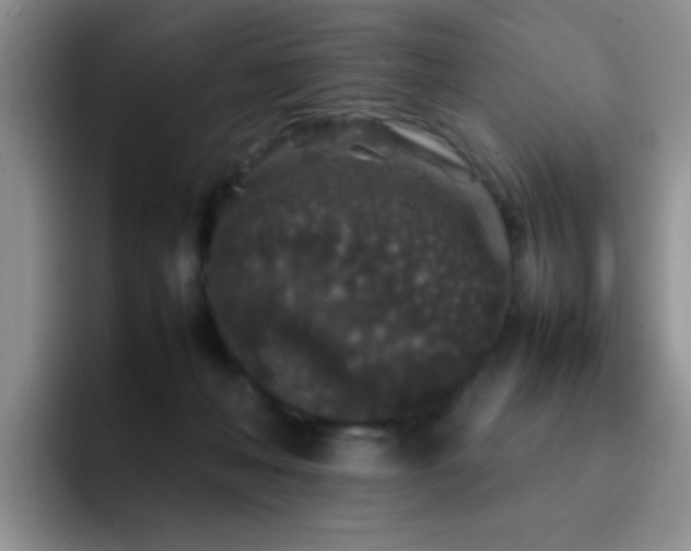 X0000092220222200709141050