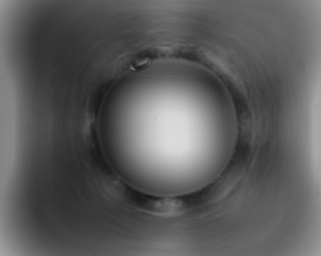 X0000092220225200709141050