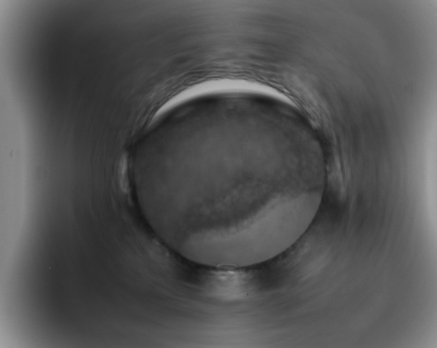 X0000092220233200709141050