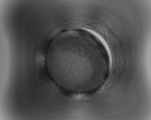 X0000092220235200709141050