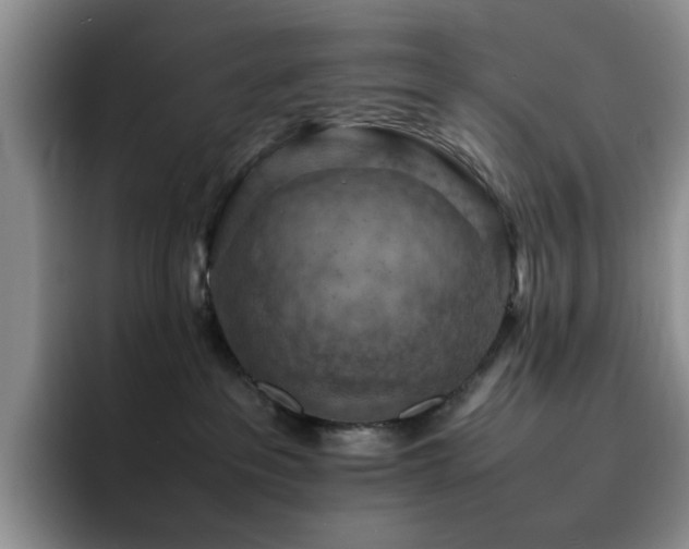 X0000092220237200709141050