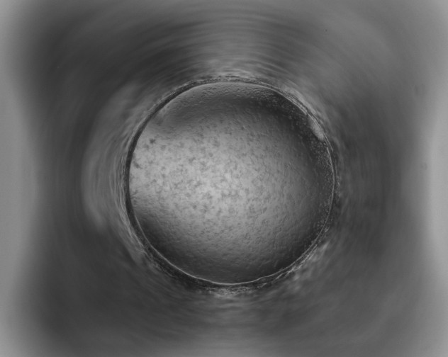 X0000092220241200709141049