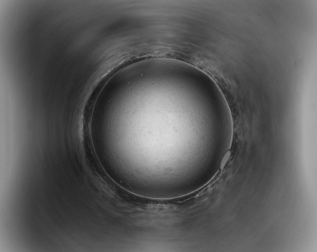 X0000092220242200709141049