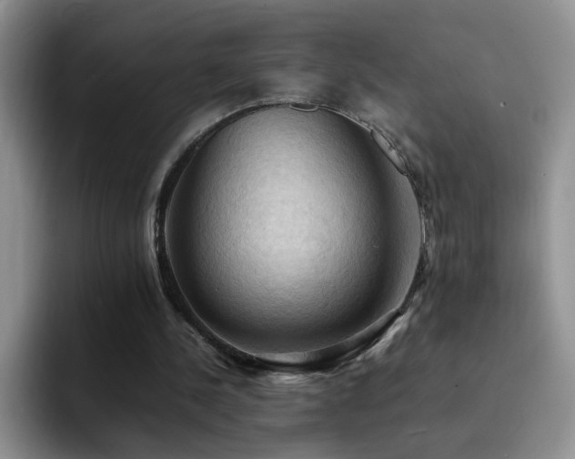 X0000092220244200709141050