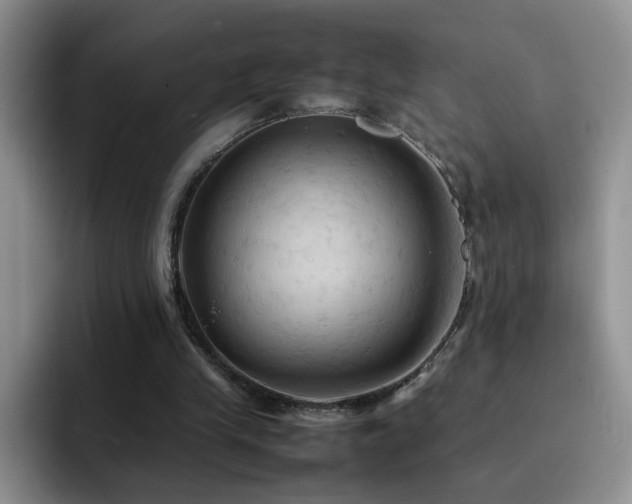 X0000092220245200709141050