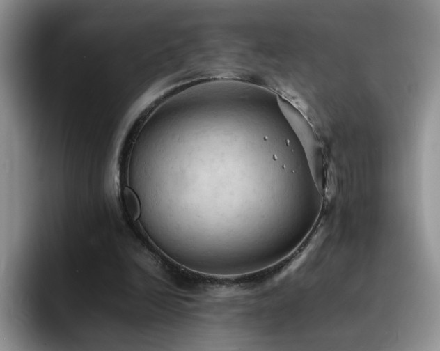X0000092220246200709141050
