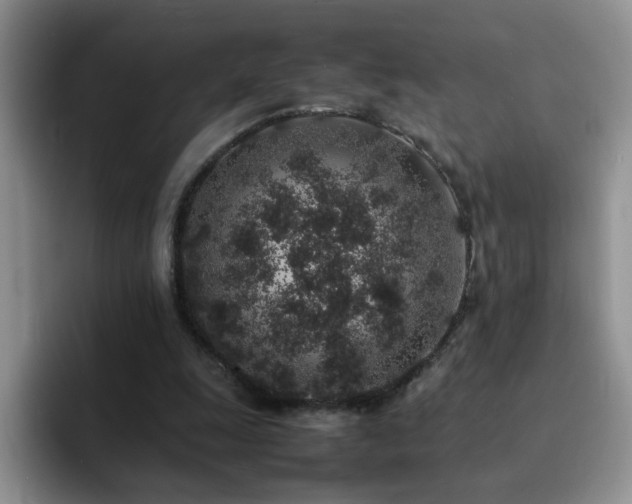 X0000092220247200709141050